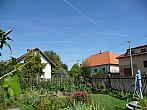 Třibřichy